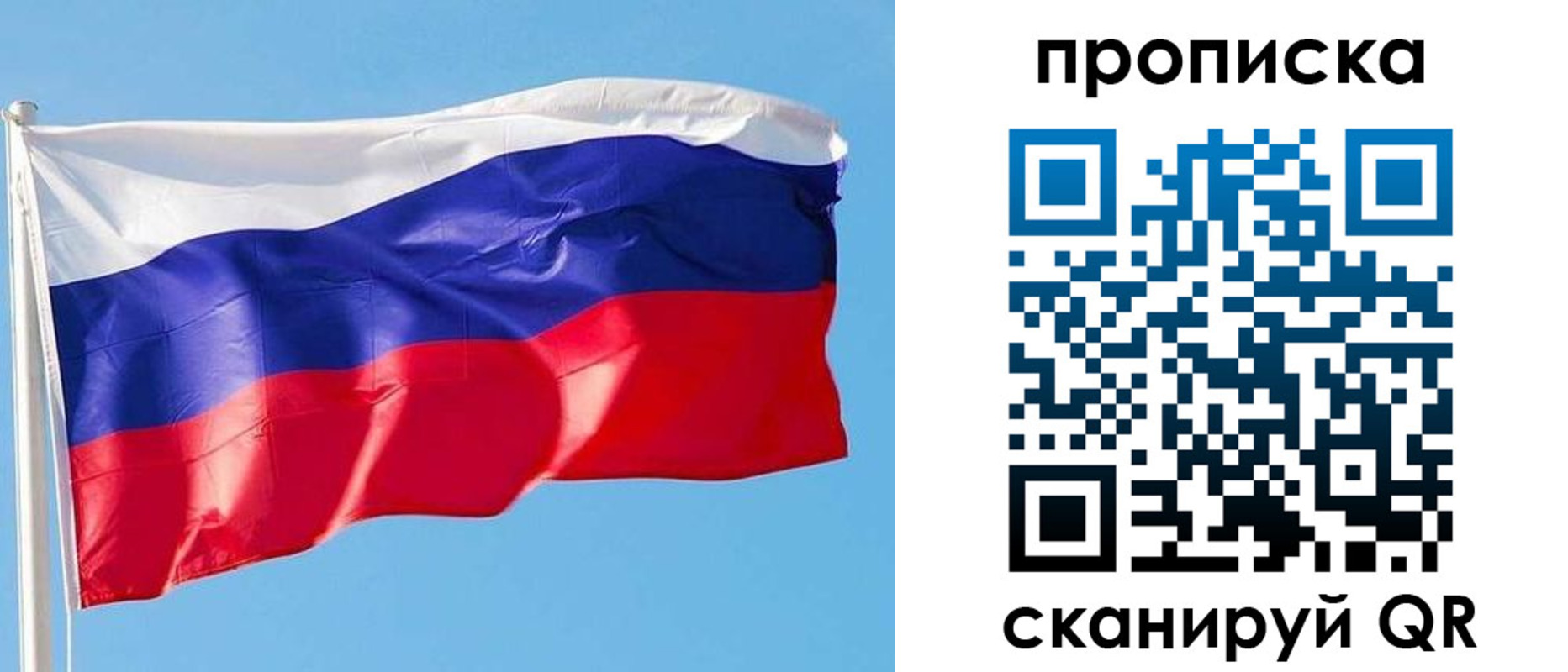 прописка поиск в Луге